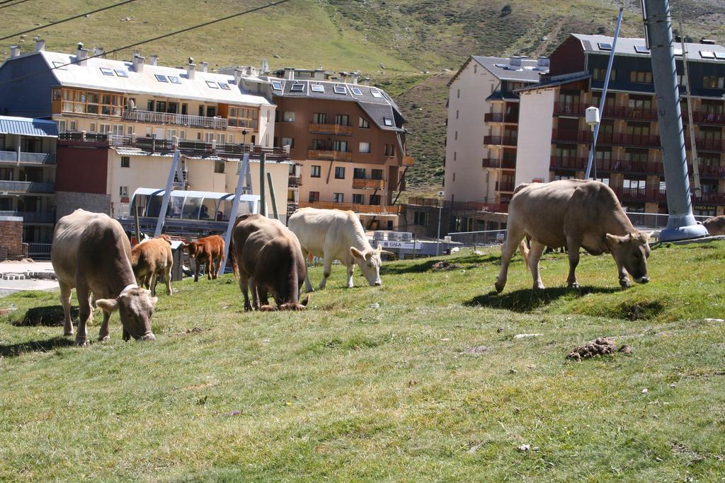 Apartamentos Grifovacances Canigou Pas De La Casa Exterior foto